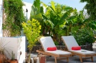 Amazing 3 bedroom, 1 bathroom Canarian farmhouse with seperate guest apartment in Guatiza - Guatiza - Property Picture 1
