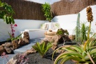 Amazing 3 bedroom, 1 bathroom Canarian farmhouse with seperate guest apartment in Guatiza - Guatiza - Property Picture 1