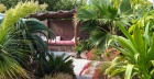 Amazing 3 bedroom, 1 bathroom Canarian farmhouse with seperate guest apartment in Guatiza - Guatiza - Property Picture 1