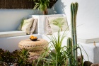 Amazing 3 bedroom, 1 bathroom Canarian farmhouse with seperate guest apartment in Guatiza - Guatiza - Property Picture 1