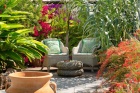 Amazing 3 bedroom, 1 bathroom Canarian farmhouse with seperate guest apartment in Guatiza - Guatiza - Property Picture 1