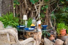 Amazing 3 bedroom, 1 bathroom Canarian farmhouse with seperate guest apartment in Guatiza - Guatiza - Property Picture 1