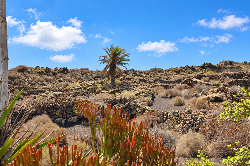 Exclusive Finca with Panoramic Views, Spacious Plot and Separate Guest Area - Orzola - lanzaroteproperty.com