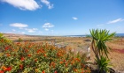 Charming 2 bedroom rustic finca with panoramic views - Tabayesco - Property Picture 1