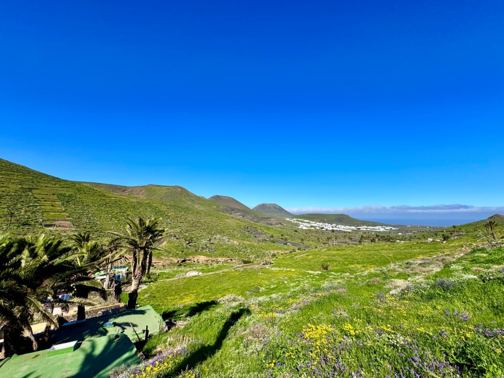 Amazing rustic finca nestled in the amazing hills of Haria - Haria - lanzaroteproperty.com