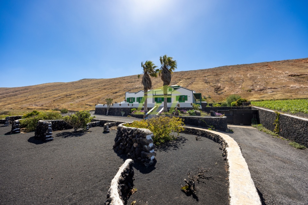 4 bedroom rural property with annex, garage, and 7,987 m² of land in a peaceful setting - Femes - lanzaroteproperty.com