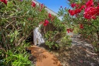 3 bedroom family duplex in great Costa Teguise location - Costa Teguise - Property Picture 1