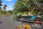 Charming Canarian villa with 6 bedrooms in Haria - Haria - Property Picture 1