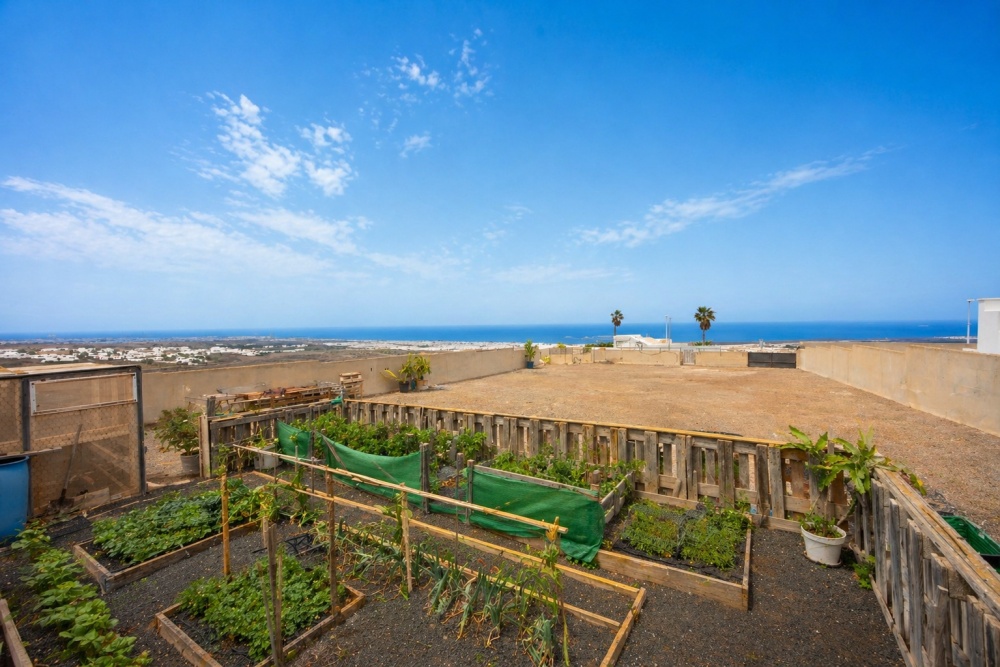 Sea View Building Plot in Güime - Guime - lanzaroteproperty.com