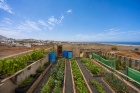Sea View Building Plot in Güime - Guime - Property Picture 1